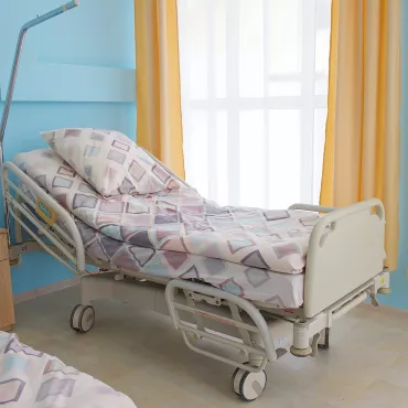 Пансионат “Бортничи”