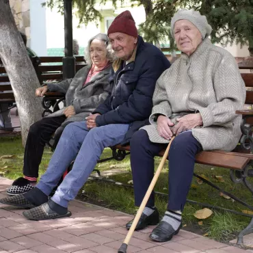 Галерея