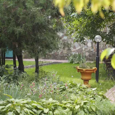 Досуг в пансионате для пожилых людей «Осокорки»