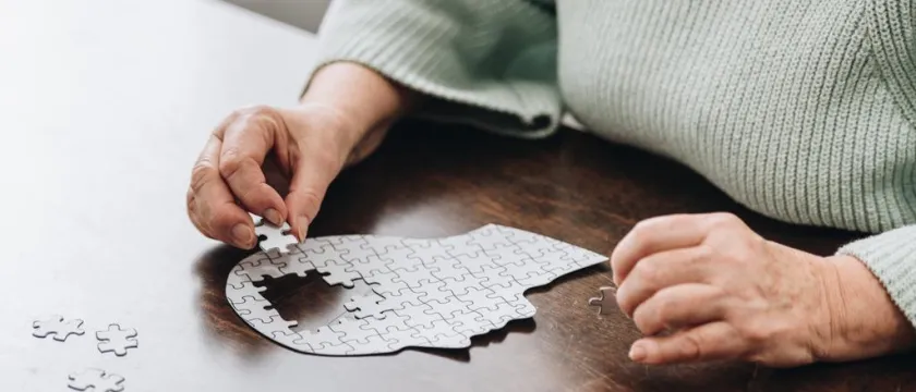 Порушення кровообігу головного мозку