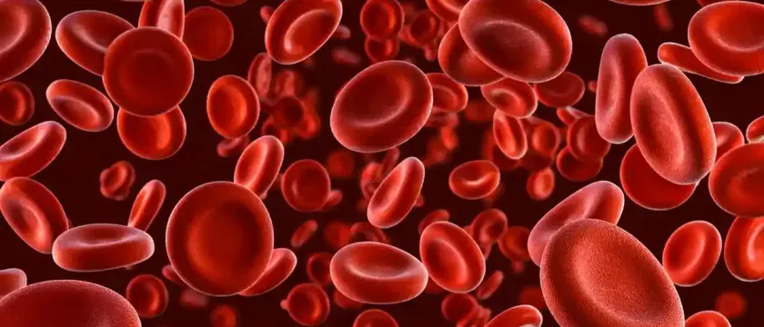 Пролежень - некроз м'яких тканин внаслідок постійного тиску, що супроводжується місцевими порушеннями кровообігу та нервової трофіки.