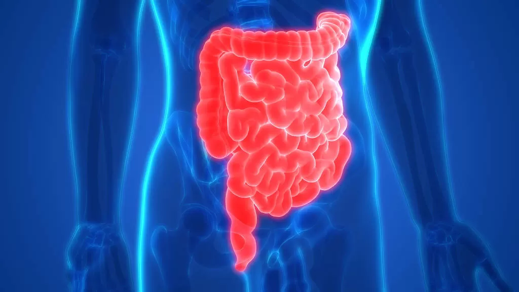 Как очистить кишечник от шлаков