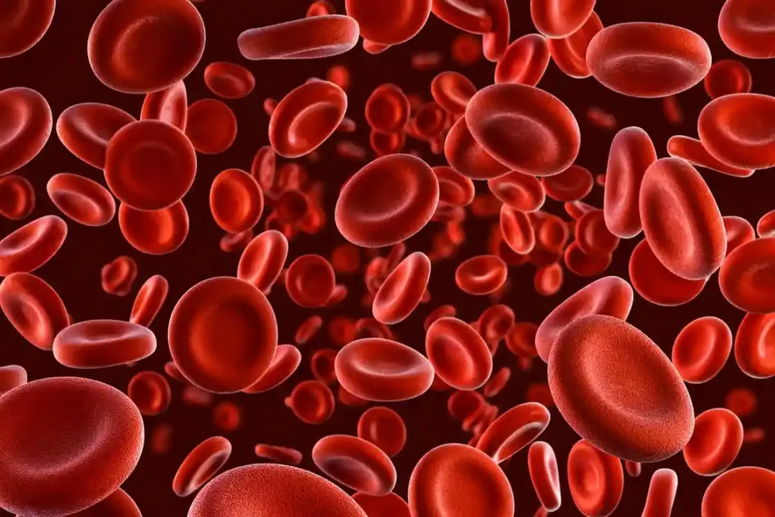 Пролежень - некроз м'яких тканин внаслідок постійного тиску, що супроводжується місцевими порушеннями кровообігу та нервової трофіки.