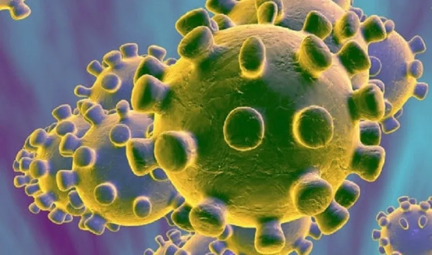 Коронавирус 2020: где опасность? О бананах и посылках из Китая