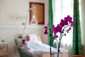 Хоспис для онкологических больных