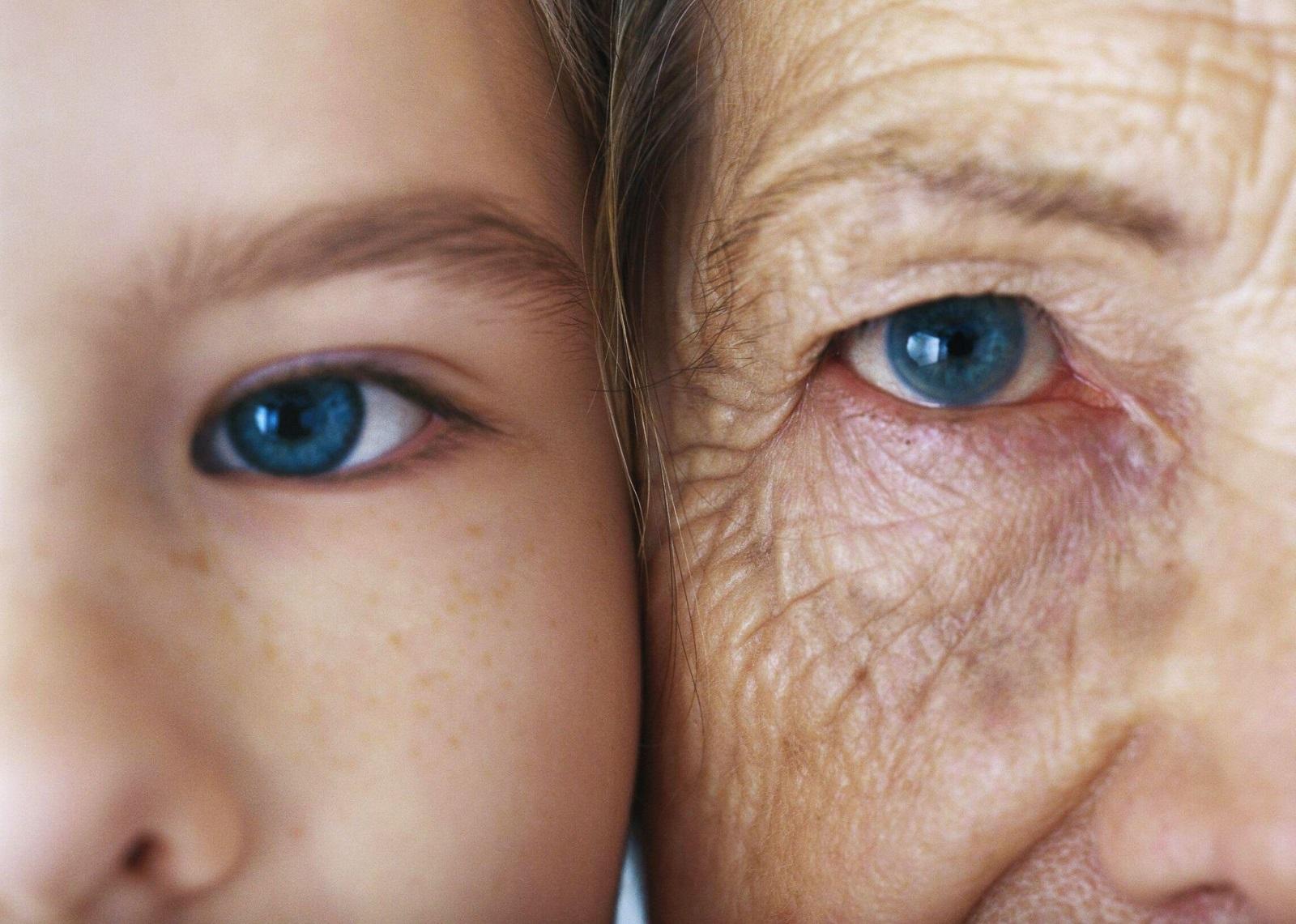  физиологического старения организма